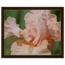 fd8a7c08-29a7-40d0-95cd-3ac253c3f00a