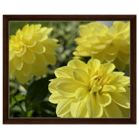 Dark wood frame